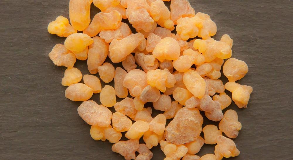 Boswellia serrata na stawy – naturalne wsparcie w walce z bólem i stanami zapalnymi
