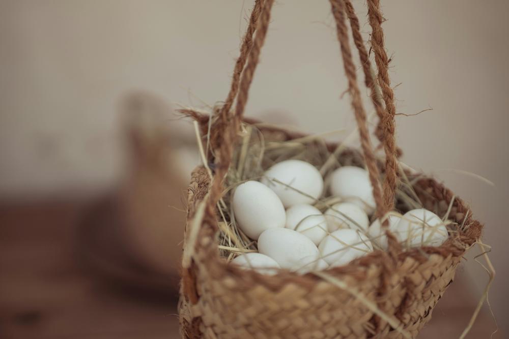 co ma dużo białka? odkryj najlepsze źródła protein w diecie
