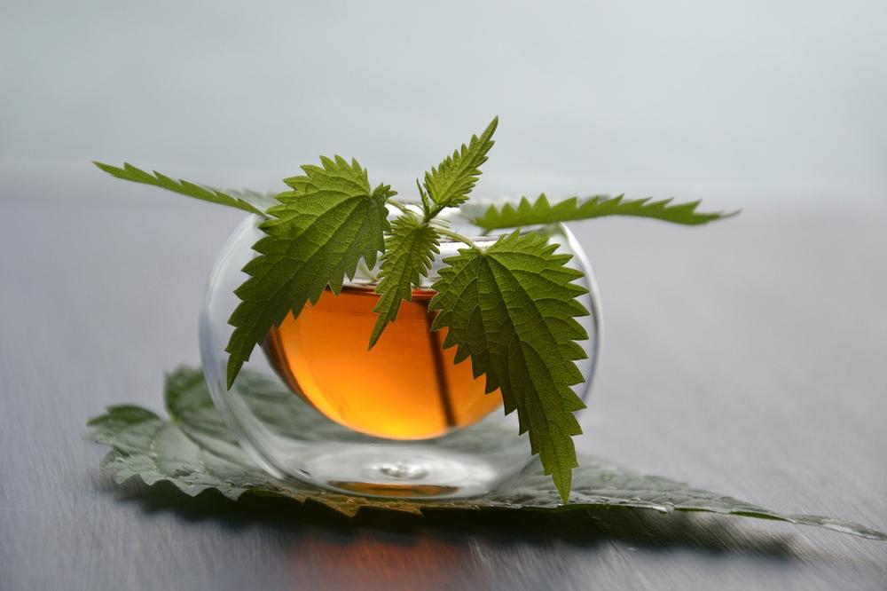 nettle tea-7a44f2974ea8422abe6249aee5d9e394.jpg nettle tea